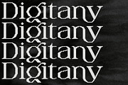 DIGITANY, a Serif Font by Bagerich Type Foundry (Thumbnail 9 of 9)