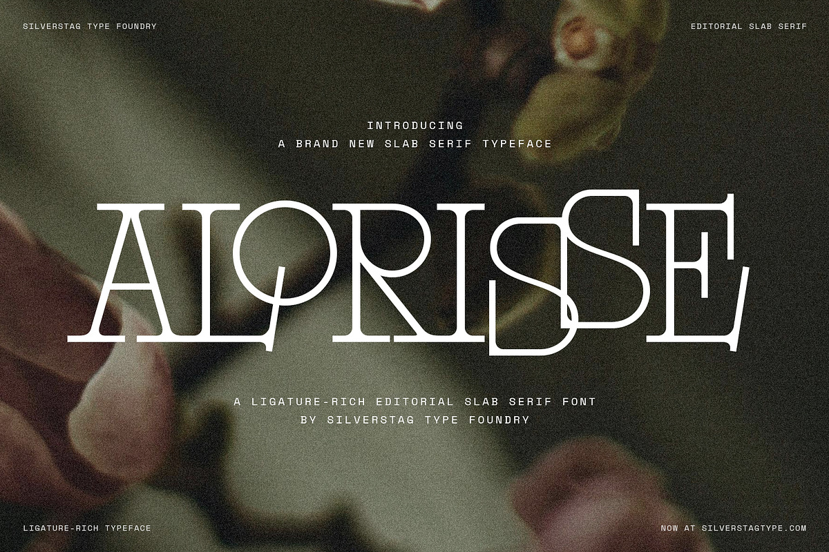 Alorisse – Editorial Ligature Font, a Font by SilverStag Type Foundry (Photo 1 of 20)