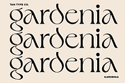 TAN - GARDENIA, a Font by TanType (Thumbnail 14 of 21)
