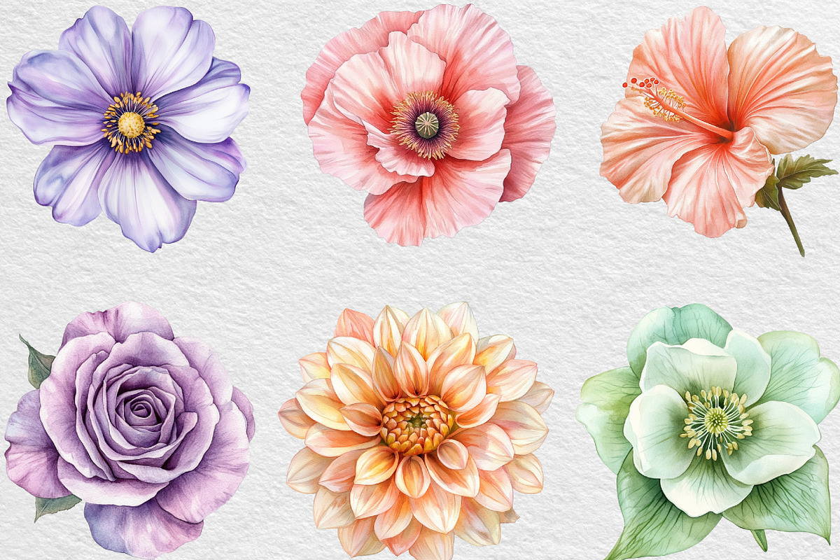 Watercolor Pastel Flowers Clipart, an Illustration by Black Bird Studio (Photo 3 of 6)