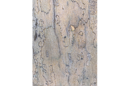 Marble surface rock. Dirty rough, a Background Photo by Media Whale Stock