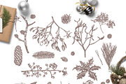 Christmas Botany, a Decorative Illustration by alexrockheart (Thumbnail 4 of 7)