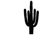 collection of desert cactus silhouet, an Illustration by Amazin_art (Thumbnail 17 of 33)