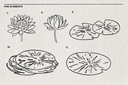 Set of water lilies and flowers PNG, a Decorative Illustration by LOKSKIH (Thumbnail 4 of 10)