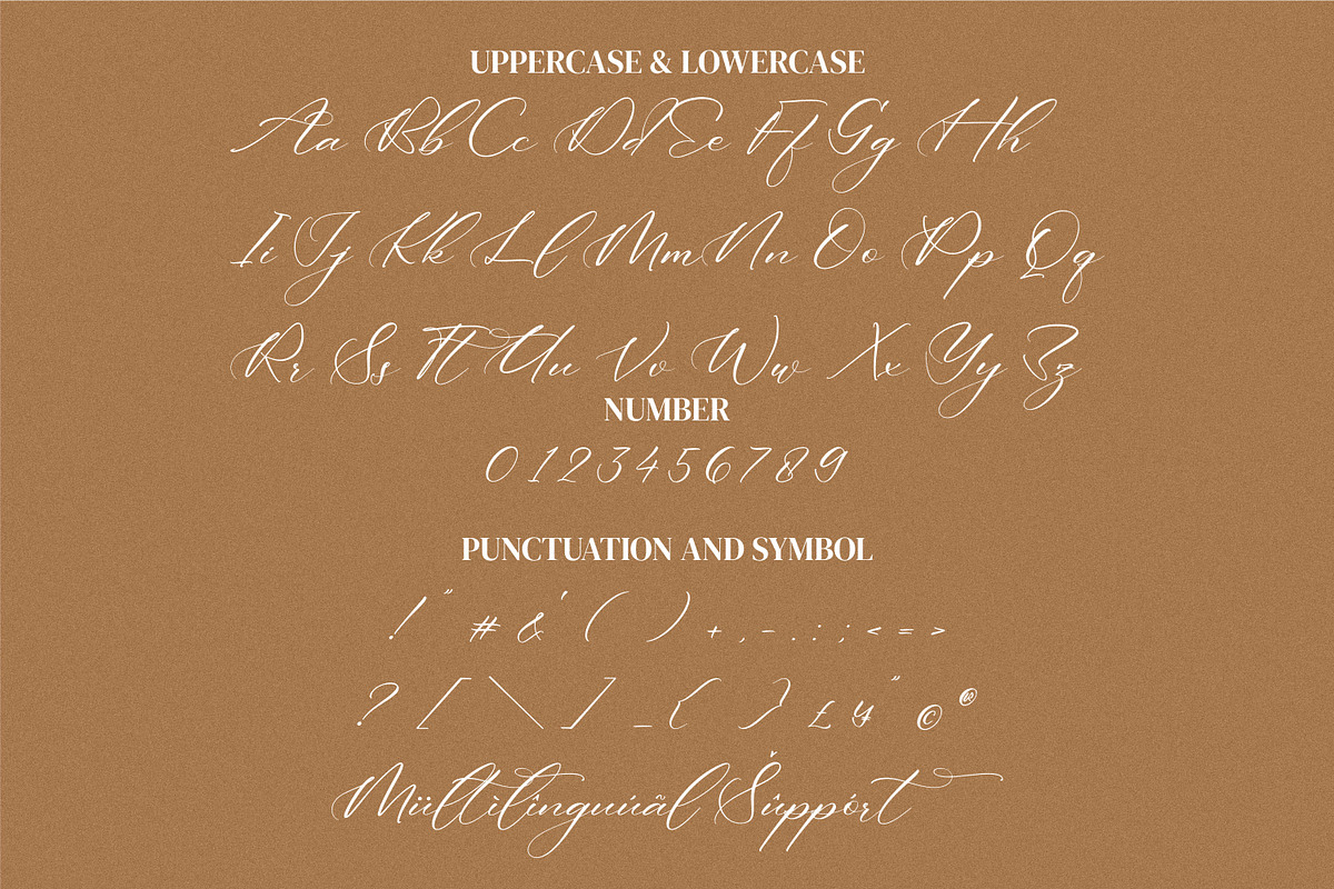 Andaeni, a Script Font by Integritype Studio (Photo 8 of 11)