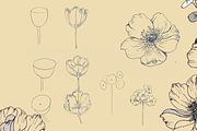 Botanical Notebook Template Editable, an Illustration by Little Wren Illustrates (Thumbnail 2 of 7)