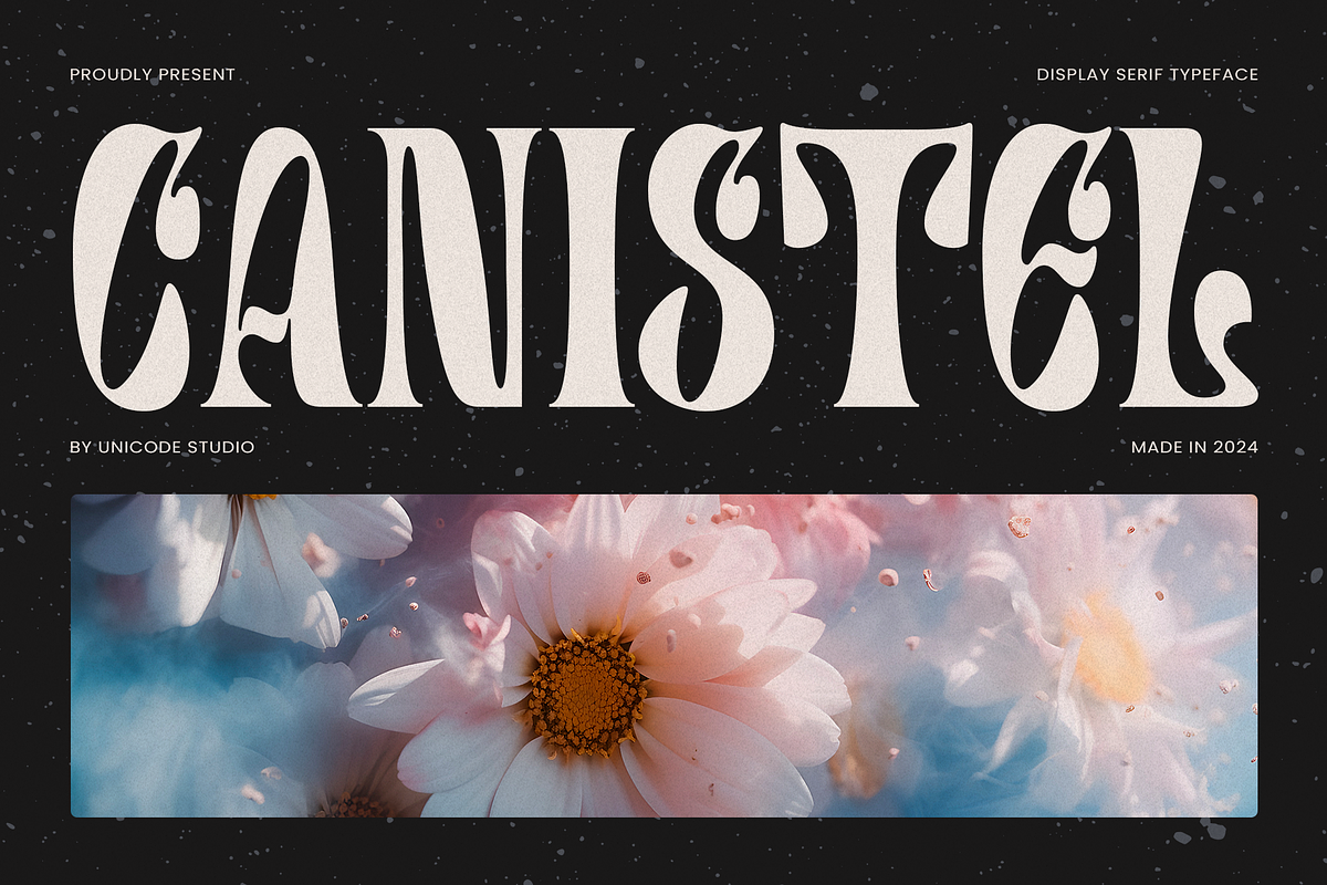 Canistel - Display Serif Font, a Serif Font by Unicode Studio (Photo 2 of 13)