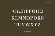 Borniarte Elegant Serif Font, a Serif Font by UICreative (Thumbnail 12 of 13)