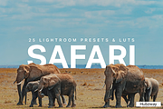 25 Safari Lightroom Presets and LUTs, a Preset Add-On by Hubzway (Thumbnail 1 of 14)