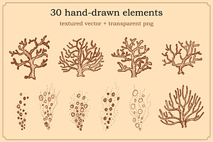 Hand Drawn Sea Life Elements