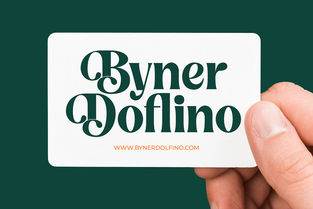 Myngo Bakery Modern Serif Font, a Serif Font by timelesstype.co (Photo 2 of 20)