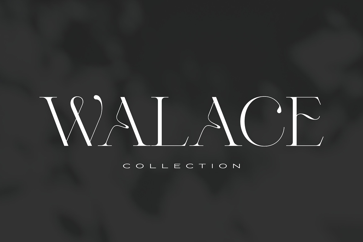 Valery Display Serif Font, a Serif Font by Letteralle Studios (Photo 4 of 10)