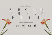 Heart Breaker - Classy Elegant Serif, a Serif Font by Sohel Studio (Thumbnail 10 of 10)