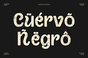 CS Ramiro Stamp, a Sans Serif Font by Craft Supply Co. (Thumbnail 7 of 8)