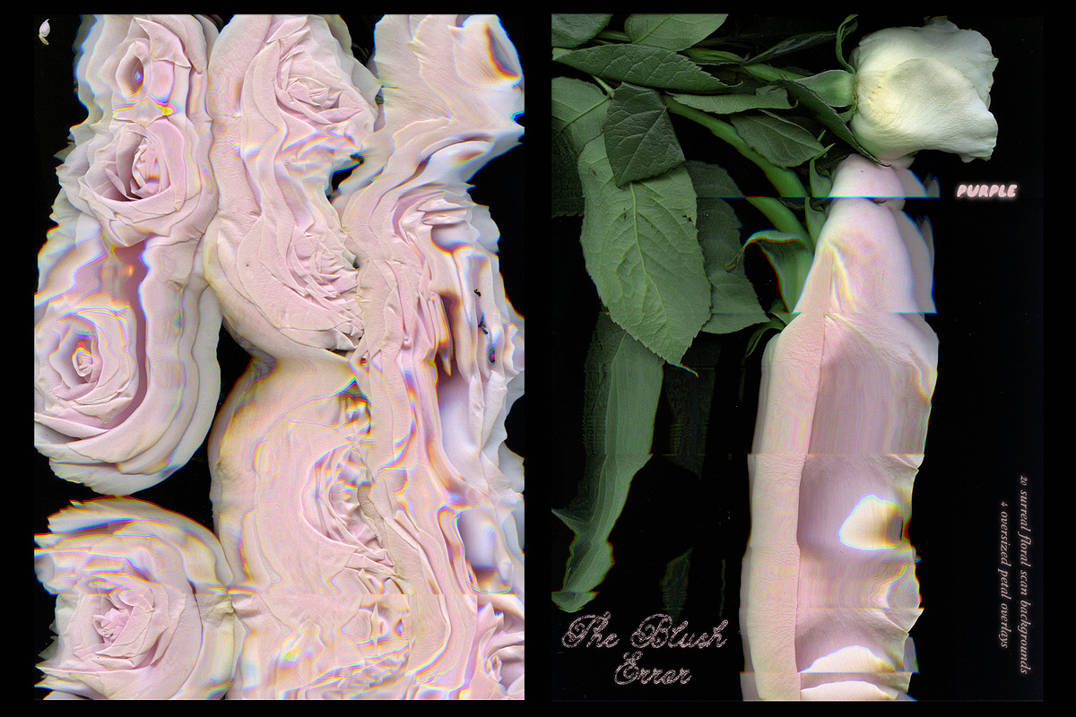 The Blush Error - Floral Backgrounds, a Wallpaper Graphic by Purple (Photo 4 of 12)