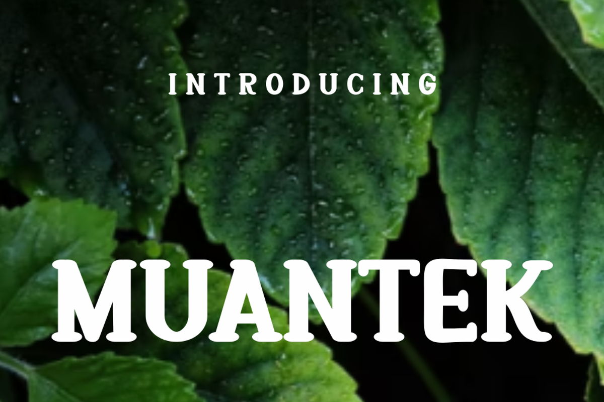 Muantek, a Serif Font by lelevien (Photo 2 of 5)