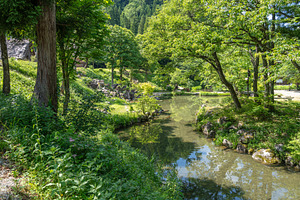 Traditional pond and houses in Shirakawa-go, Japan in summer, a Nature Photo by GoodGoods