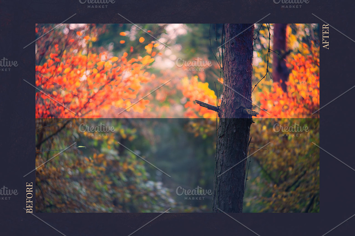Red Aurora Artistic Lightroom Preset, an Action Add-On by Mark Borbely (Photo 8 of 14)