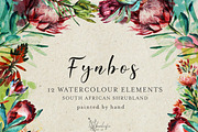 Watercolor Fynbos Flowers, a Decorative Illustration by Karliefie (Thumbnail 3 of 7)