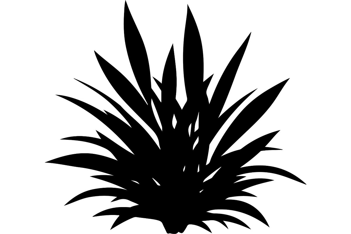 Botanical Leaf Silhouette, an Object Graphic by Creativeshirt (Photo 5 of 19)