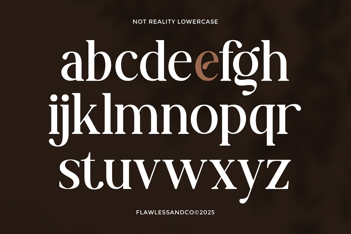 Not Reality - Retro Serif Font, a Serif Font by Flawless And Co (Photo 8 of 10)