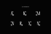 Maxrok - Elegant Serif Font, a Serif Font by Iqsiart Studio (Thumbnail 7 of 8)