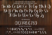 Miniatur, a Handwritten Font by FreshTypeINK (Thumbnail 7 of 8)