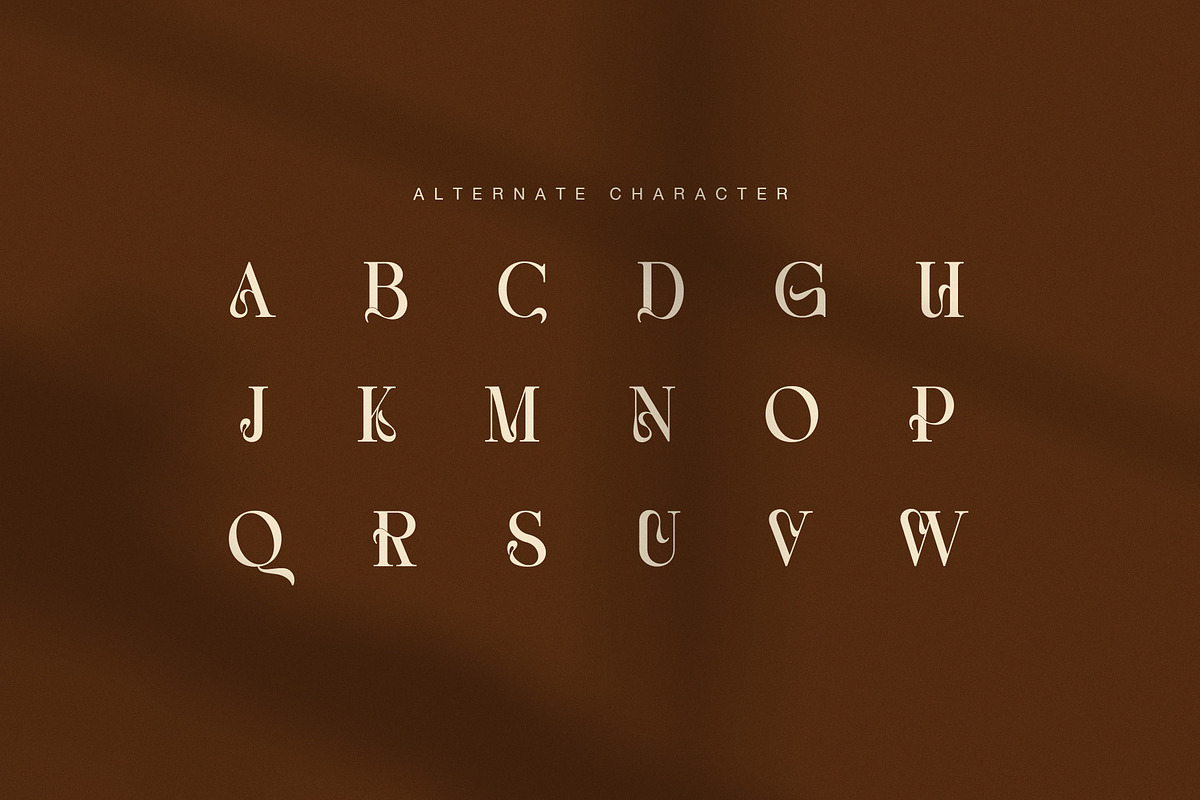 Codas Elegant Serif Font, a Serif Font by Graphicxell (Photo 8 of 8)