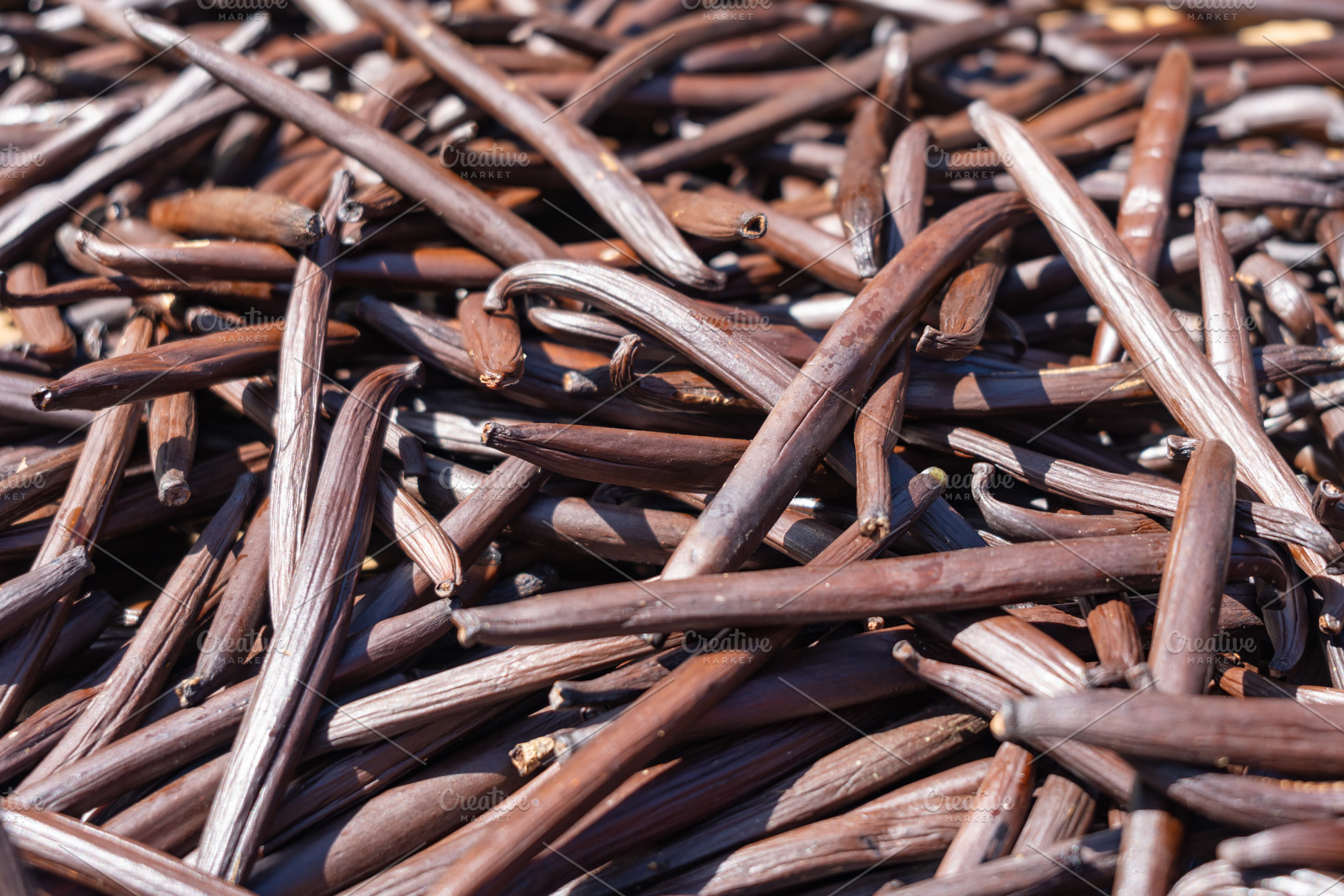 Fresh Tahitian Vanilla Pods Drying on Tahaa Island, French Polyn, a Nature Photo by GoodGoods