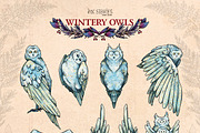Wintery Owls, an Animal Illustration by Ink Stories (Thumbnail 2 of 26)