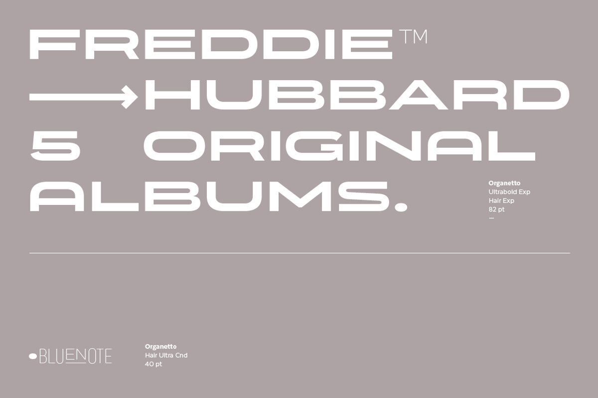 Organetto, a Sans Serif Font by Latinotype (Photo 2 of 15)
