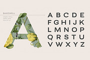Bakewell Complete Family, a Sans Serif Font by Kimmy Design (Thumbnail 6 of 14)