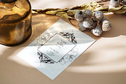 MOTHS & BUTTERFLIES illustration set, an Animal Illustration by Yuliia Lashevska (Thumbnail 7 of 13)