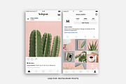 Pink & Botanical Stock Photo Bundle, an Abstract Photo by Moyo Studio (Thumbnail 4 of 10)