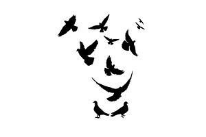 Flying pigeons birds silhouettes on, an Animal Illustration by Nenahliadava Design