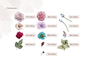 Isolated real flowers clipart set, an Object Graphic by The Graphic Parade (Thumbnail 7 of 14)