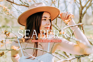 Seaberry Pro Lightroom Presets