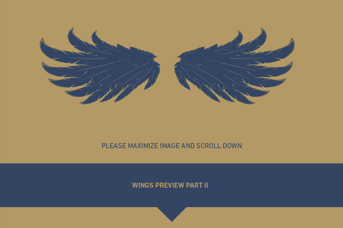 160 Pairs of Vector Wings, an Object Graphic by Damien (Photo 13 of 17)