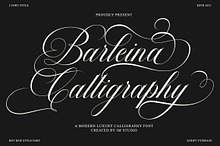 Barleina Calligraphy