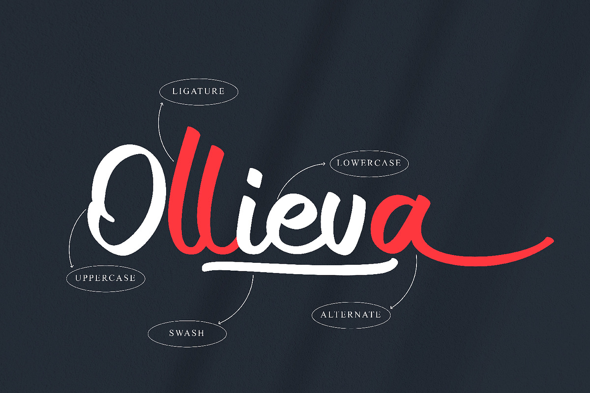 Ollieva Handwritten Script Font, a Script Font by BumbleGraph Studio (Photo 2 of 10)