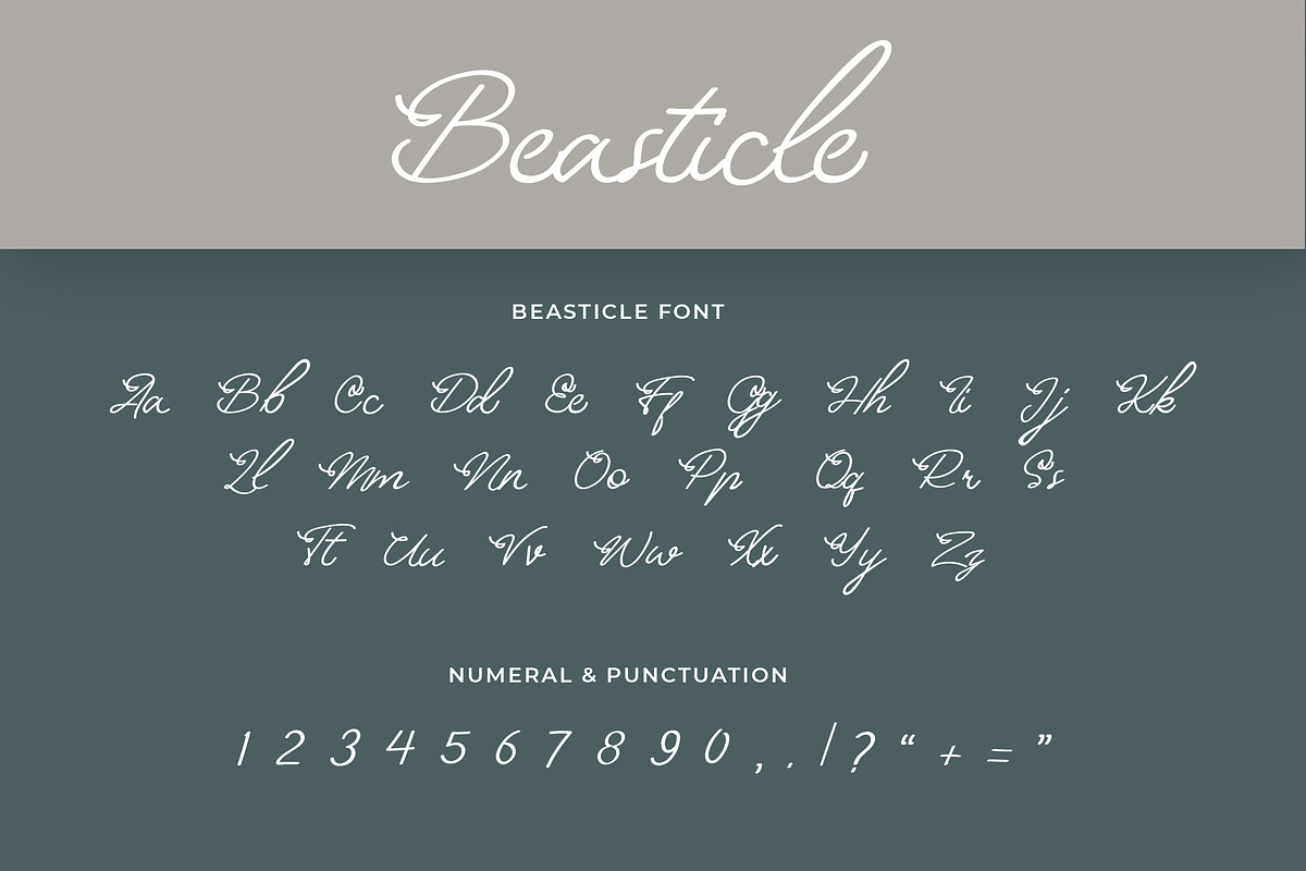 Beasticle Handwritten Font preview 5