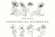 Birth Month Flowers SVG - PNG, a Decorative Illustration by AW Studios (Thumbnail 7 of 11)