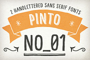 Hand Drawn Pinto NO_01 for Packaging, a Sans Serif Font by Georg Herold-Wildfellner (Thumbnail 1 of 12)