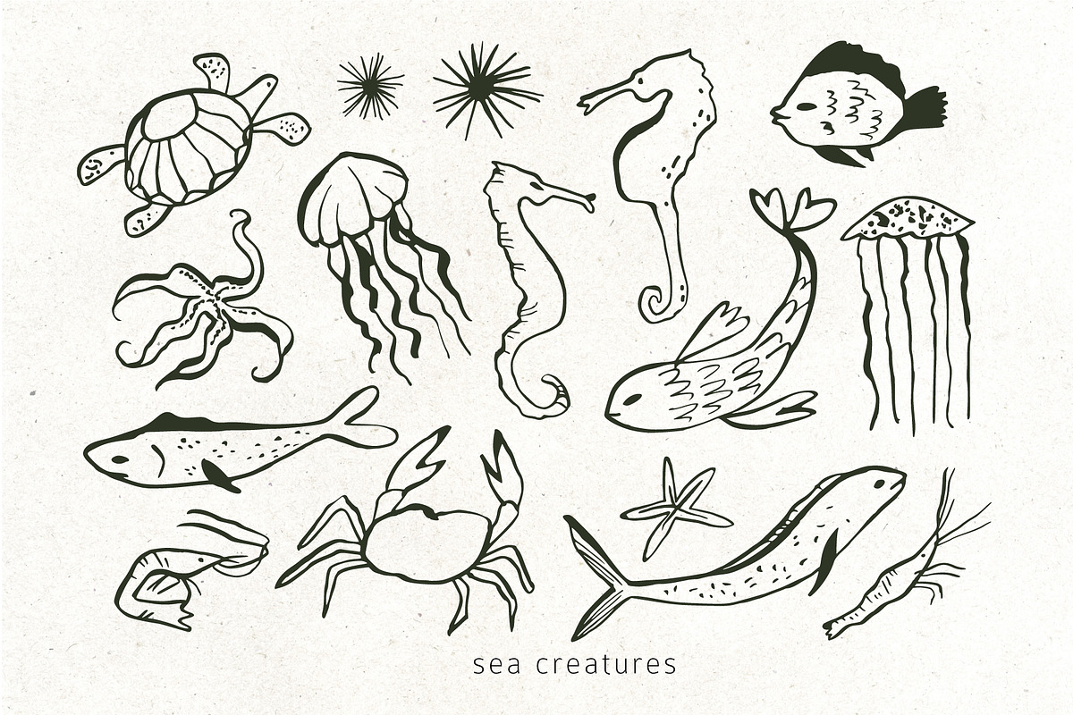 INKED SEALIFE hand drawn vector set, an Animal Illustration by Lena Nikolaeva (Photo 5 of 11)