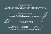Bando Serif, a Serif Font by K:O\Fonts (Thumbnail 4 of 4)