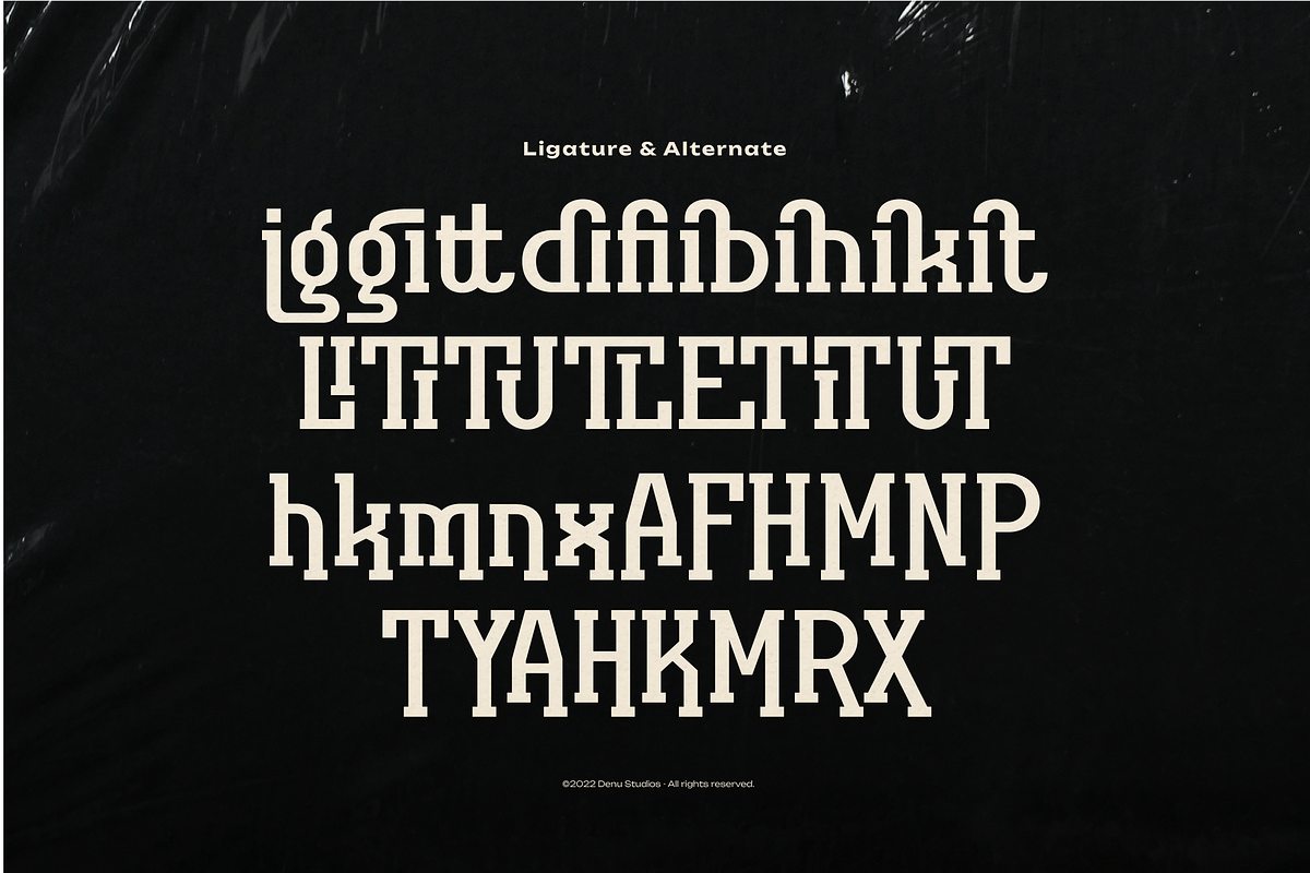 Original Regional | Display Font, a Slab Serif Font by Denustudios (Photo 11 of 12)
