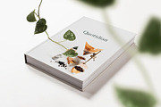 Felt Letter Board Mockup Bundle PSD, a Background Photo by Munopia (Thumbnail 5 of 12)