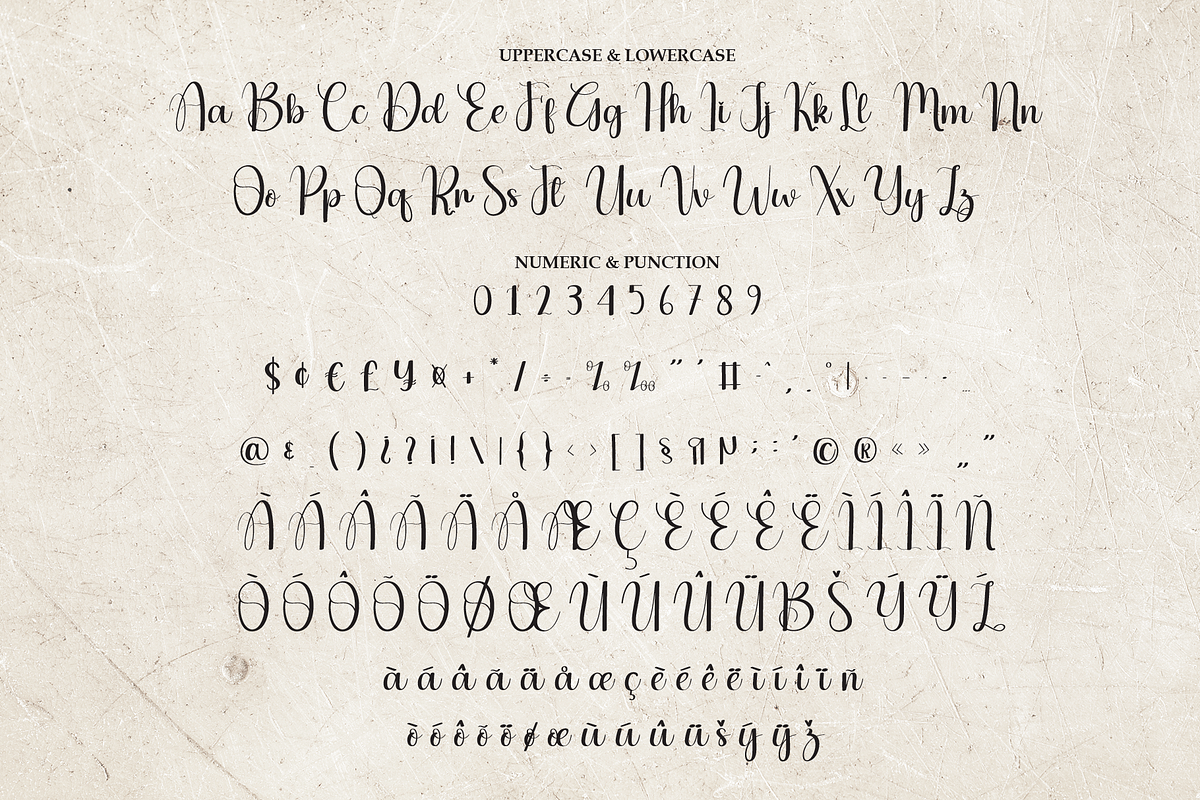 Vintage Calligraphy | Script Font, a Handwritten Font by Scratchones