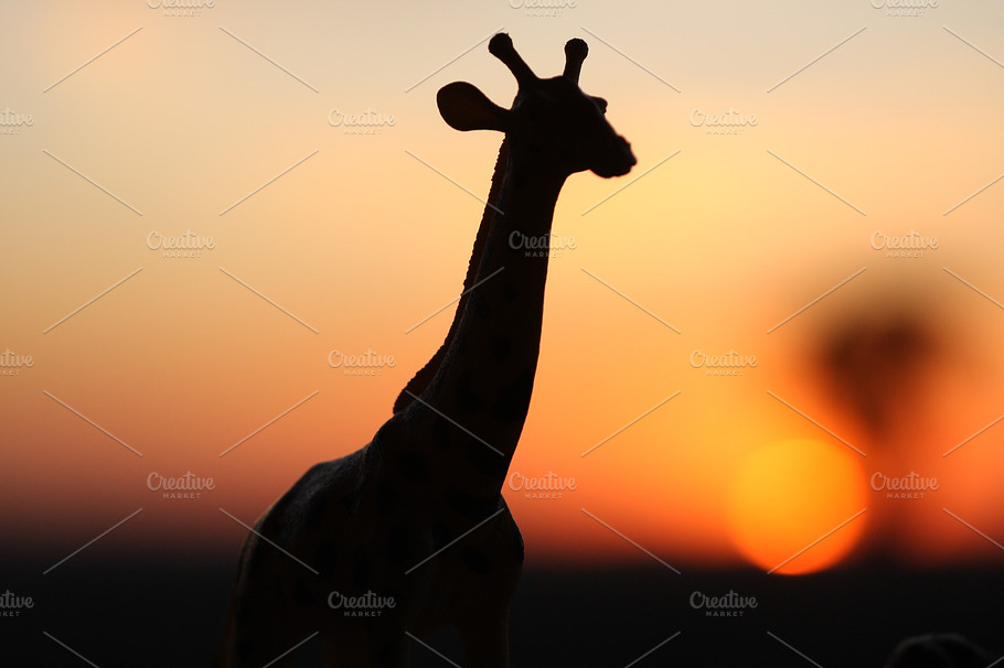 Giraffe Sunset Stock Photo