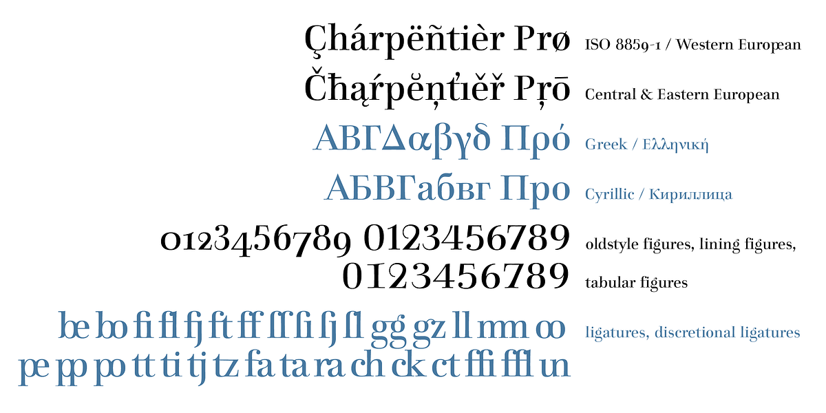 Charpentier Classicistique Pro, a Serif Font by ingoFonts (Photo 10 of 12)
